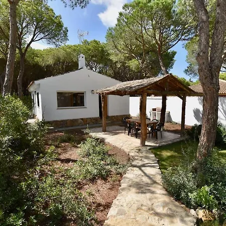 Casa Palmito 2