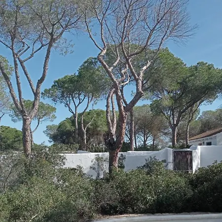 Casa Palmito 2 Holiday home Chiclana de la Frontera